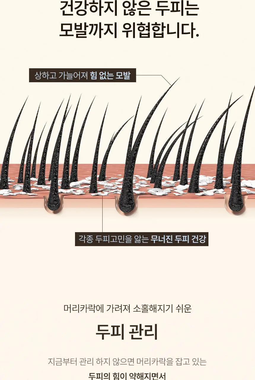 [신규런칭/모발빠짐고민] 이드르르 스칼프스파 샴푸 390ml 상세페이지 40